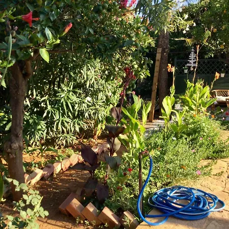 Chez Athena/ Vacation For 6 In Chania * Tavronitis (Crete)